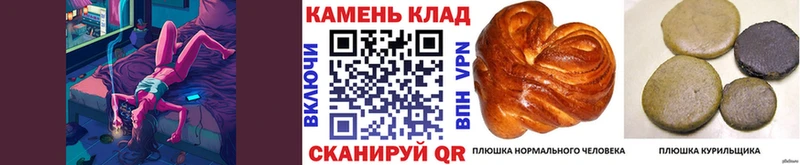ГАШИШ Cannabis  Сальск 