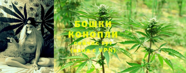 кокс Невель