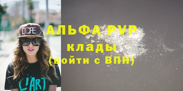 сатива Новочеркасск