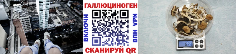 Галлюциногенные грибы прущие грибы  Сальск 