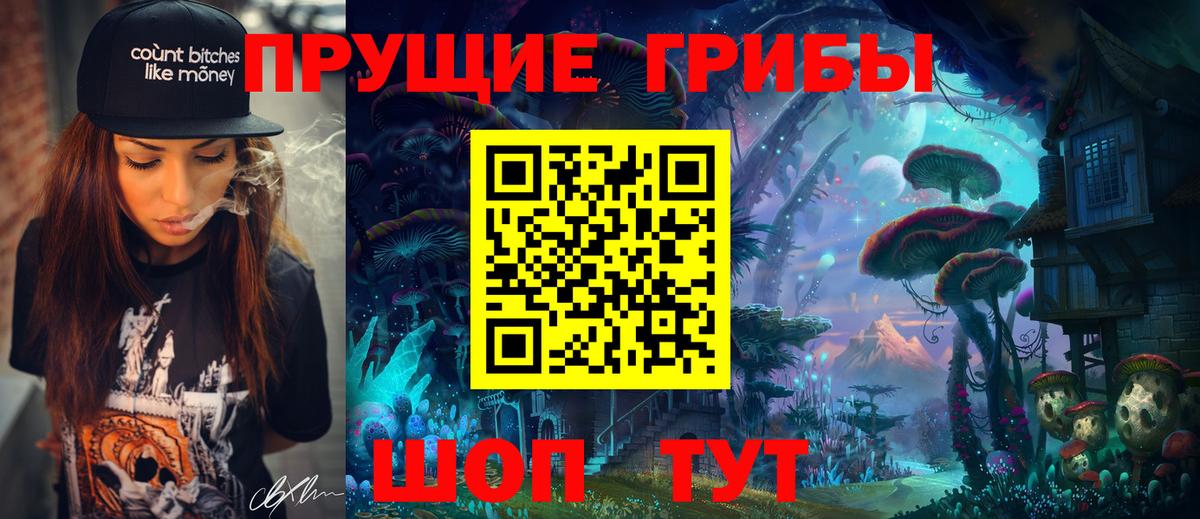 Галлюциногенные грибы Psilocybe  Вход с VPN  Сальск 